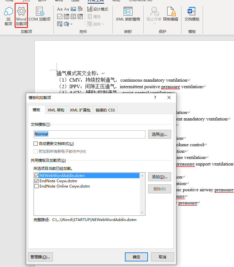 Word加载项